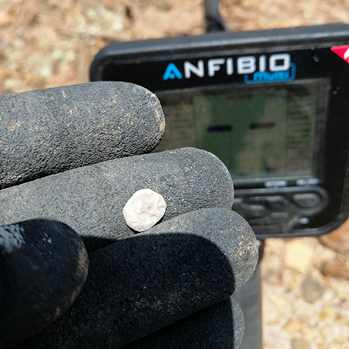 ANFIBIO